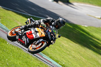 Lower Group Orange Bikes